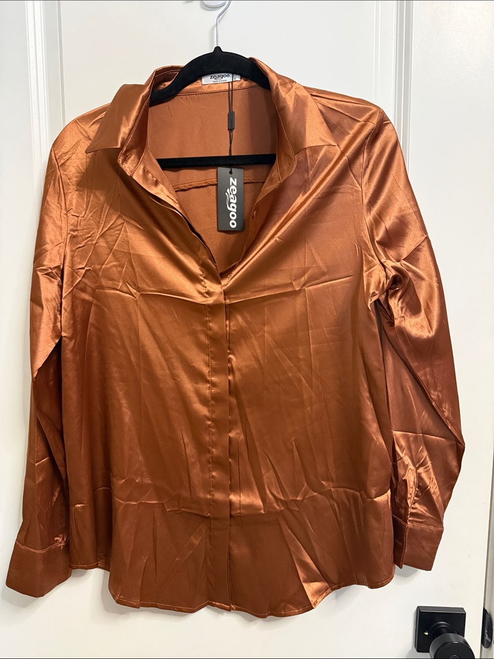 zeagoo Satin Button-Down Blouse in Copper Brown - Picture 3 of 6